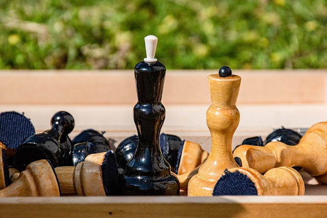 比赛数据 比赛数据