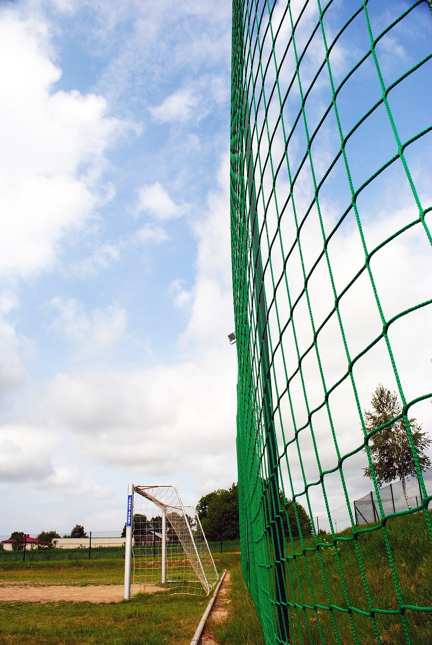 了足球界 了足球界