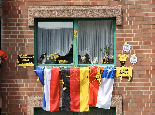 皮的职业生 皮的职业生