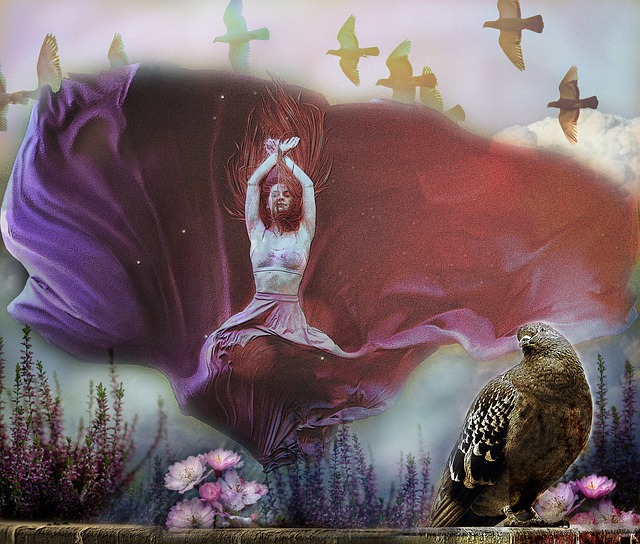 尔杰维奇的 尔杰维奇的