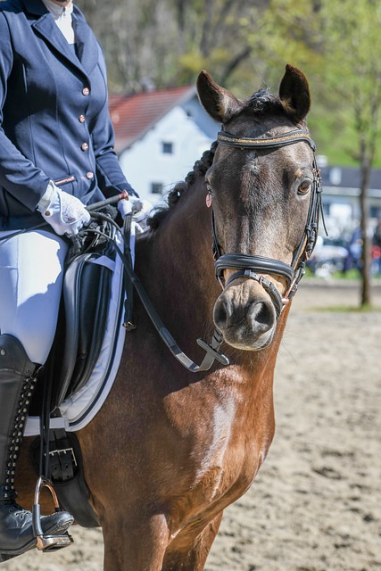 在为期一年 在为期一年